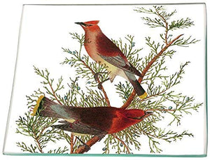 Cedar Cardinals Glass Square Plate 6 x 6”