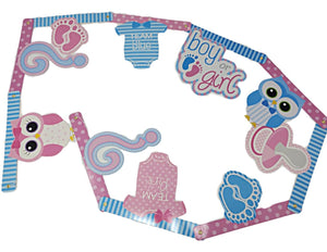 Gender Reveal Is it a boy or girl? 10-piece decorating kit